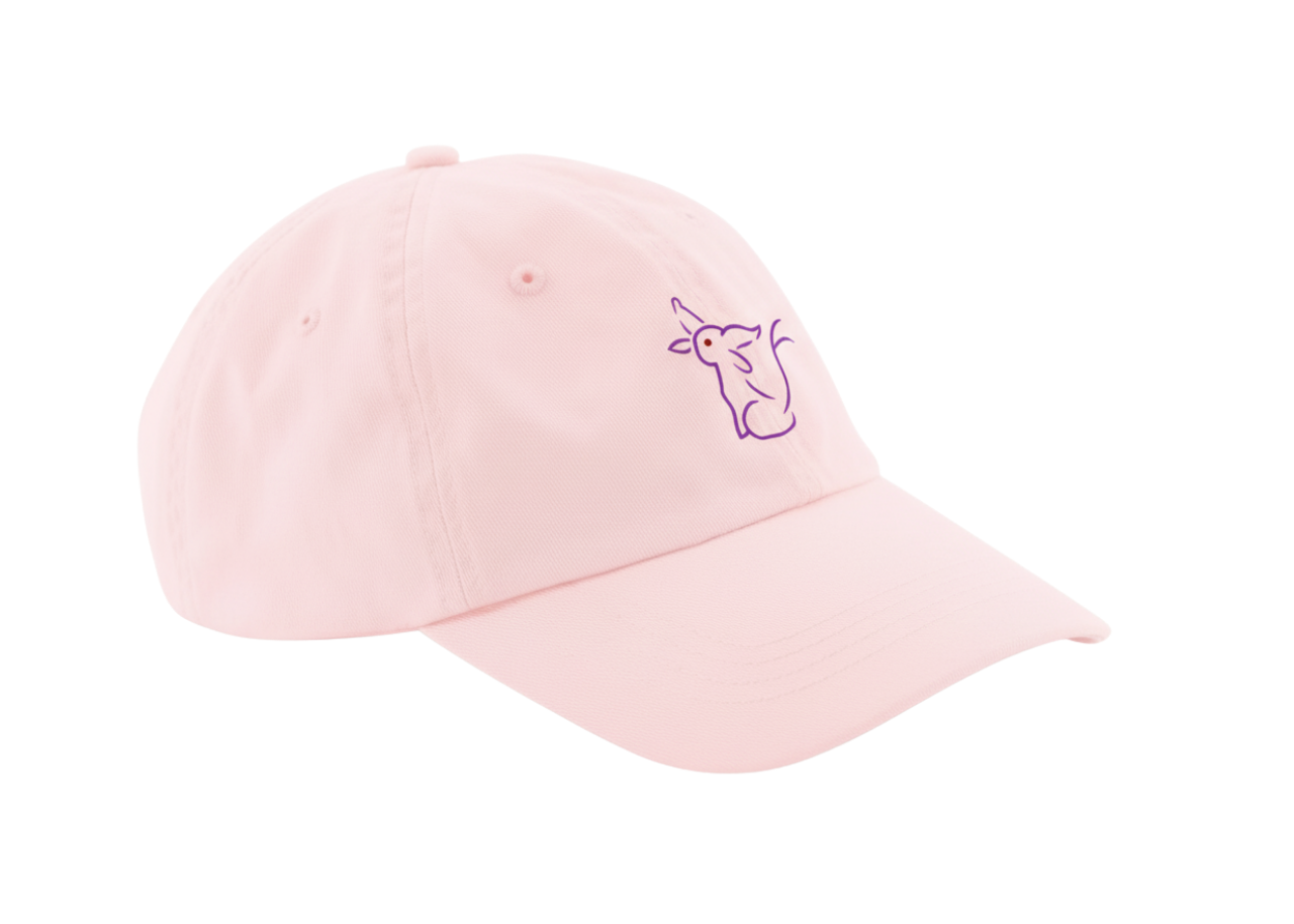 Casquette Pokémon